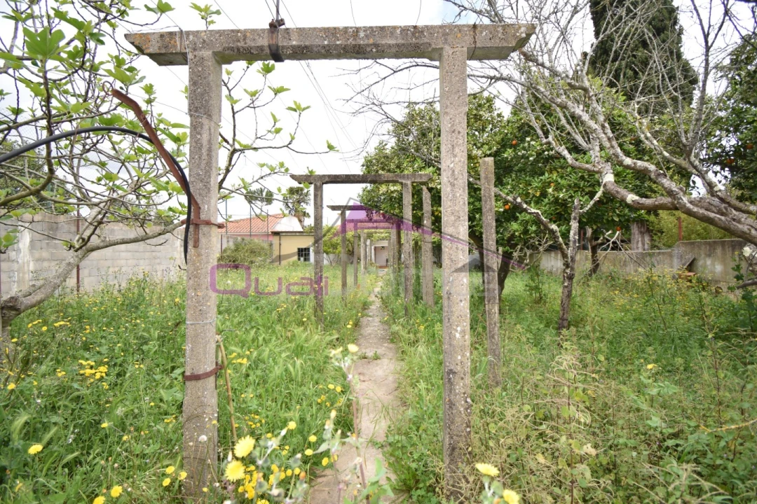 Moradia T4 para Venda em Riachos Foto 24