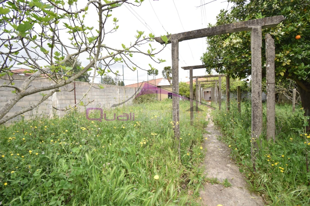 Moradia T4 para Venda em Riachos Foto 25