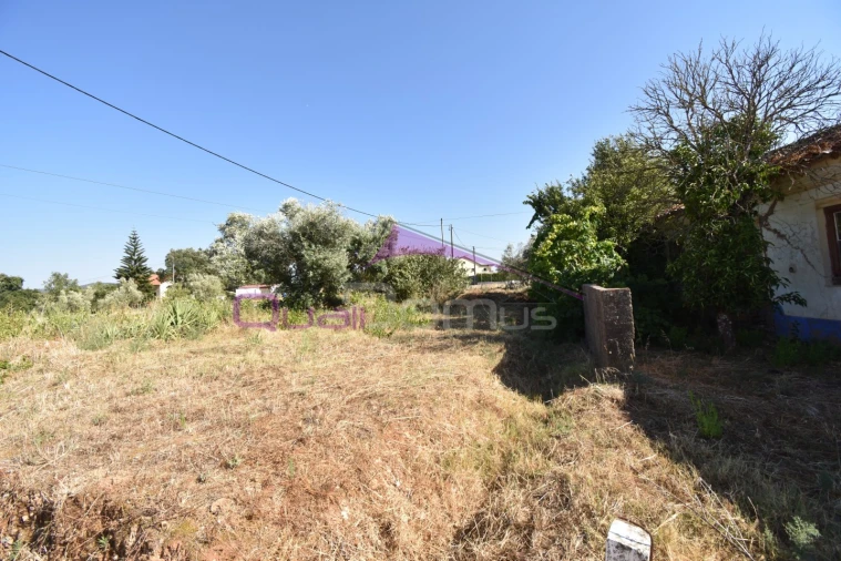 Moradia para Venda em São Pedro de Tomar Foto 3