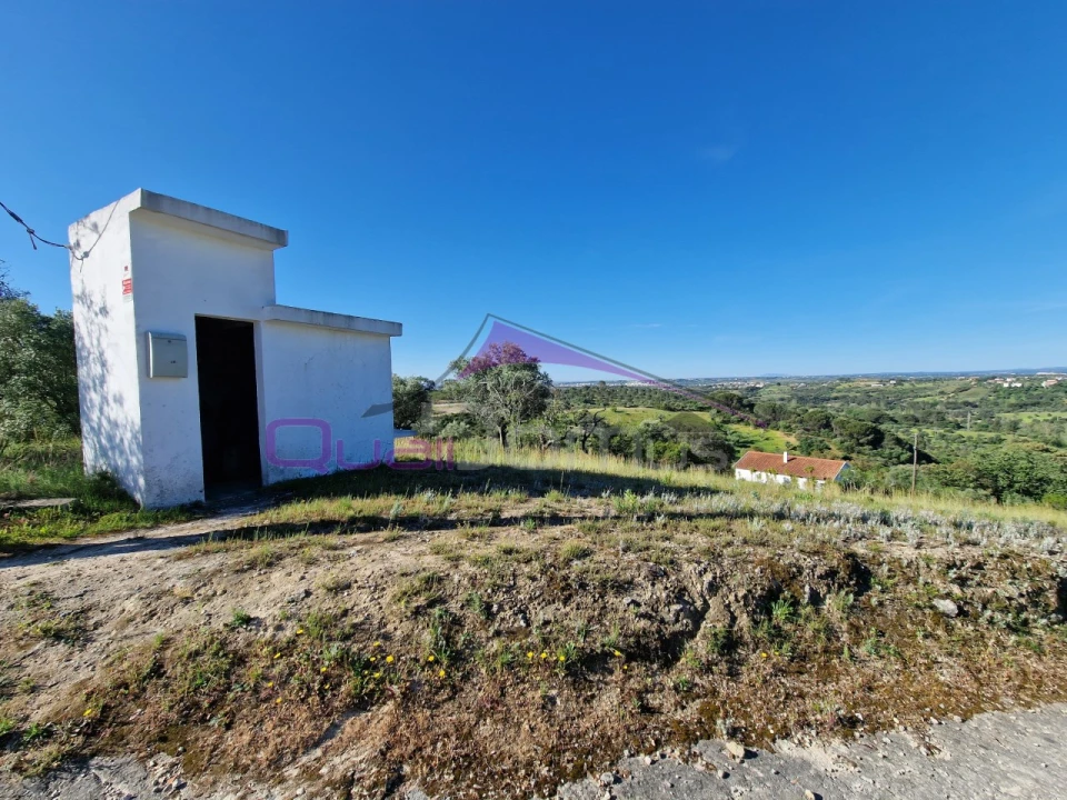 Terreno Agricola ou Rústico para Venda em Olaia e Paço Foto 2