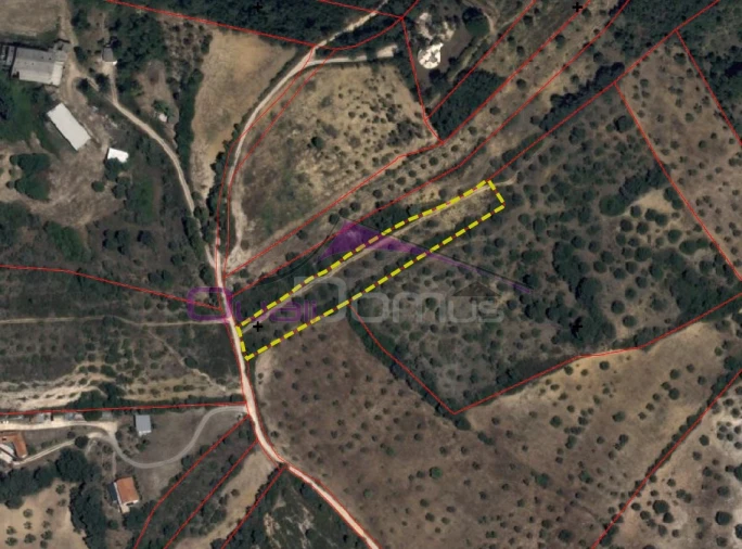 Terreno Agricola ou Rústico para Venda em Olaia e Paço
