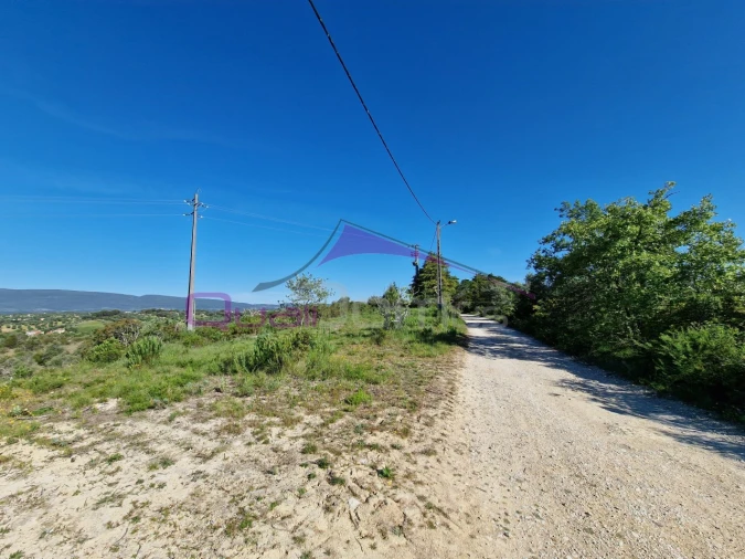 Terreno Agricola ou Rústico para Venda em Olaia e Paço Foto 3