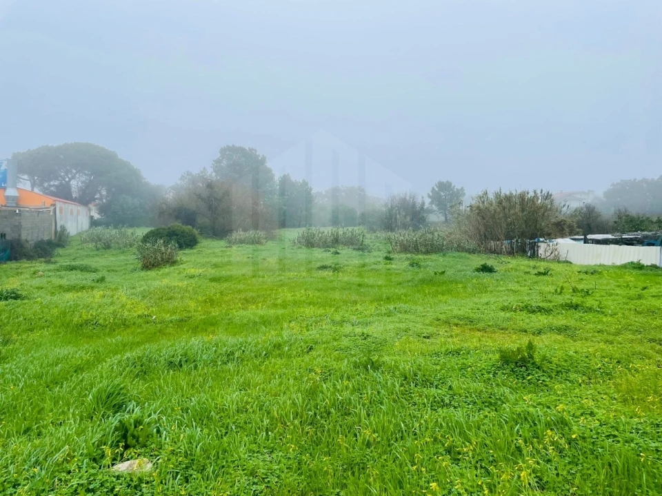 Terreno para Venda em Sesimbra (Santiago) Foto 7
