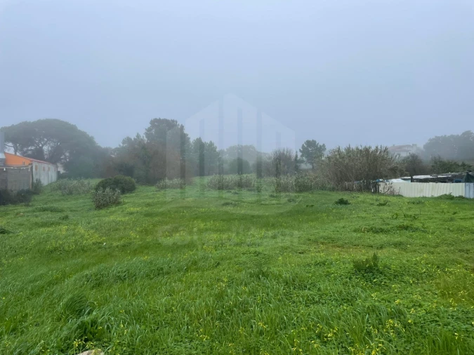 Terreno para Venda em Sesimbra (Santiago) Foto 2