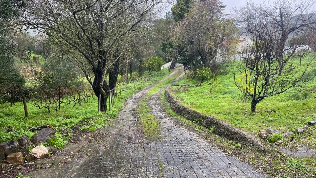 Moradia T2 para Venda em União das Freguesias de Setúbal Foto 19