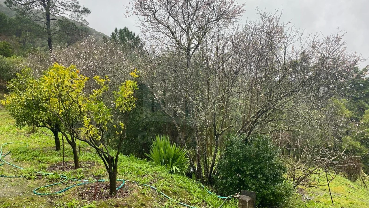 Moradia T2 para Venda em União das Freguesias de Setúbal Foto 20