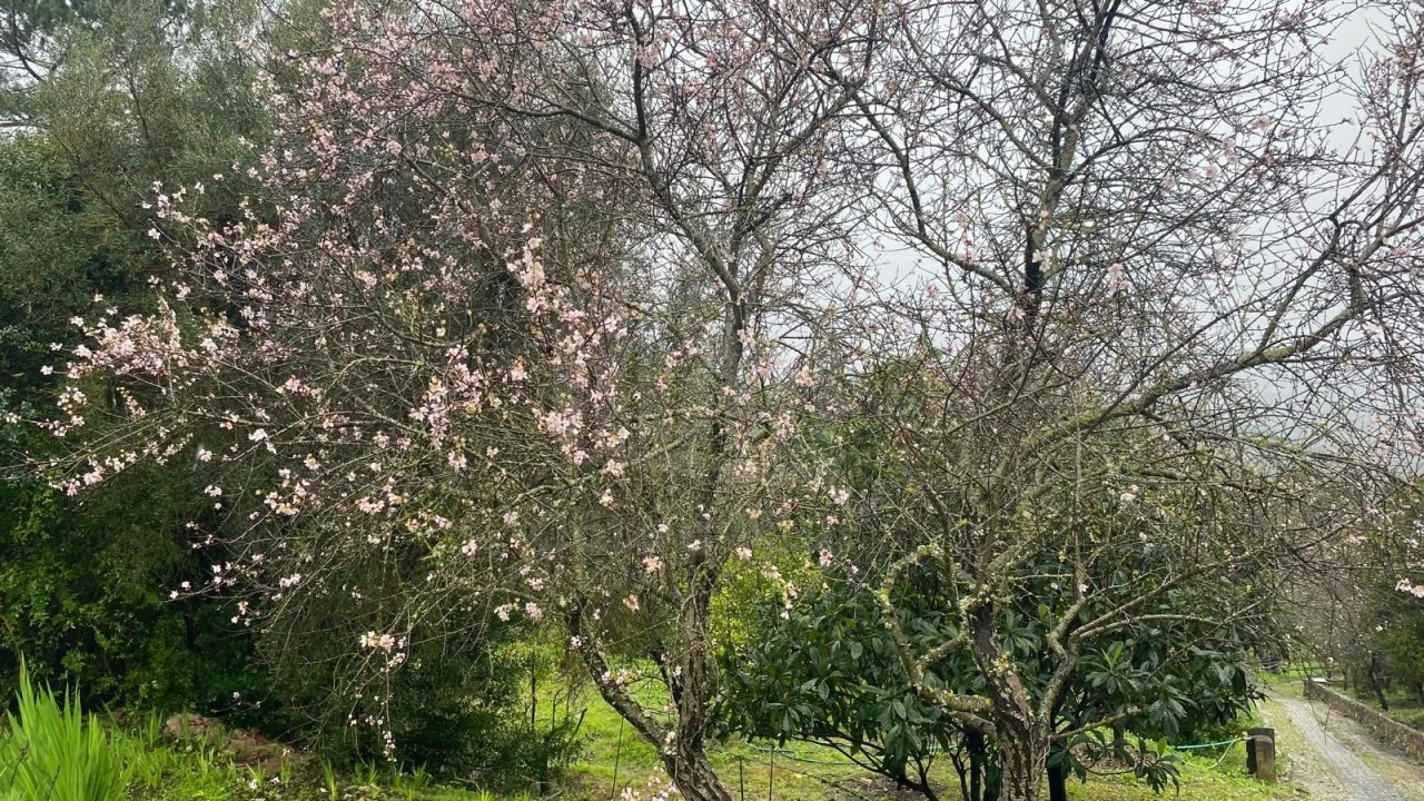 Moradia T2 para Venda em União das Freguesias de Setúbal Foto 24