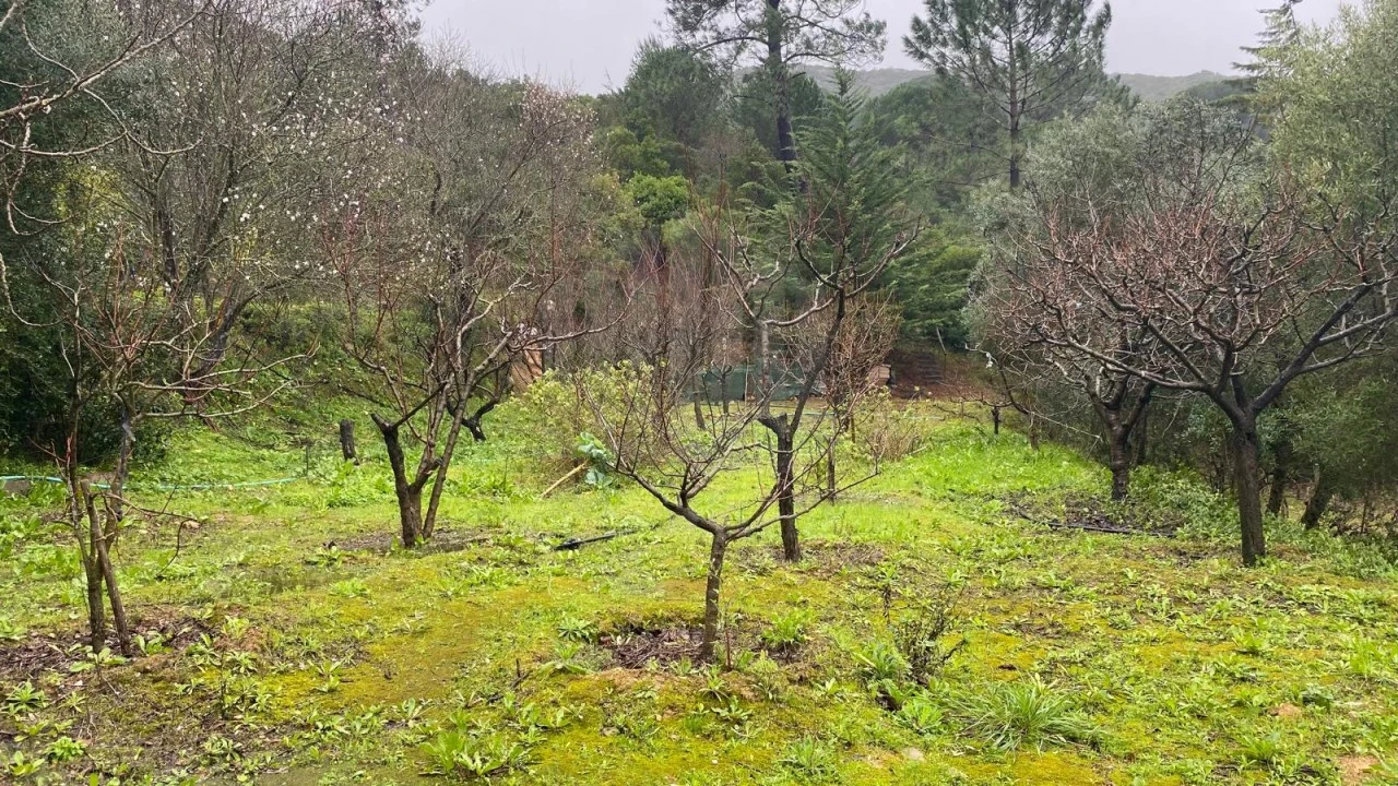 Moradia T2 para Venda em União das Freguesias de Setúbal Foto 25