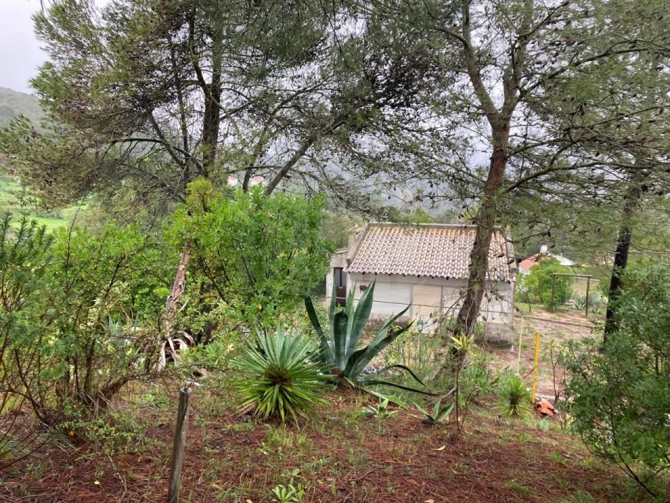 Moradia T2 para Venda em União das Freguesias de Setúbal Foto 39