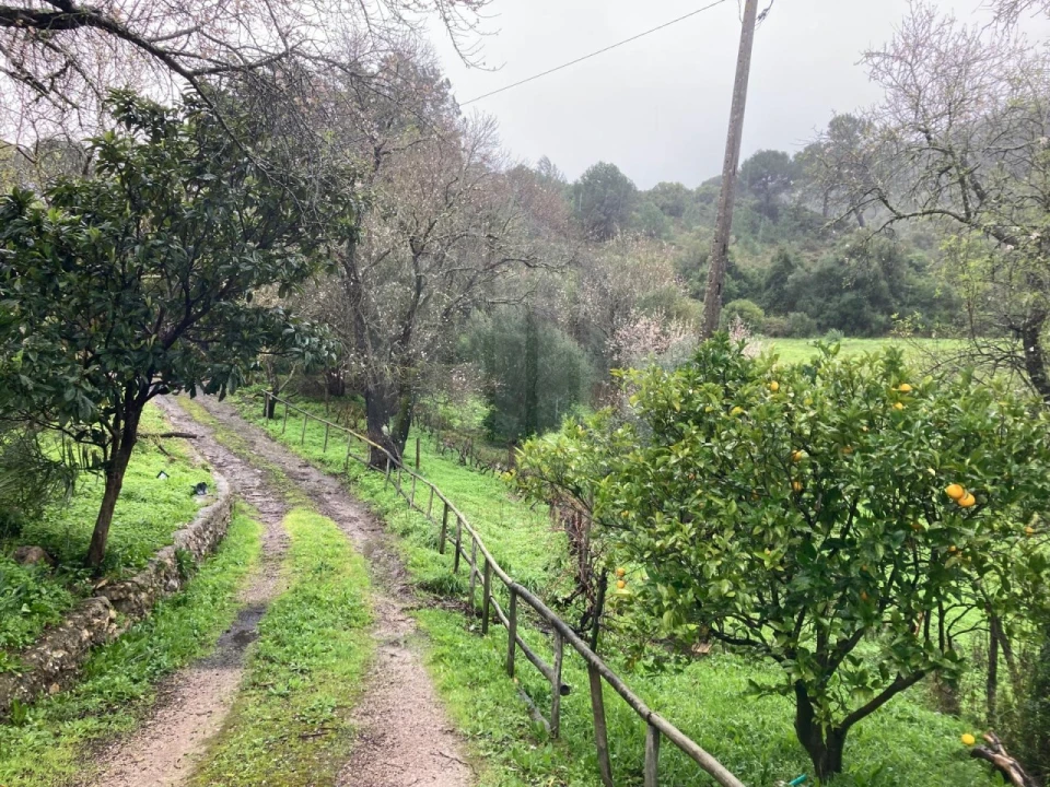 Moradia T2 para Venda em União das Freguesias de Setúbal Foto 41