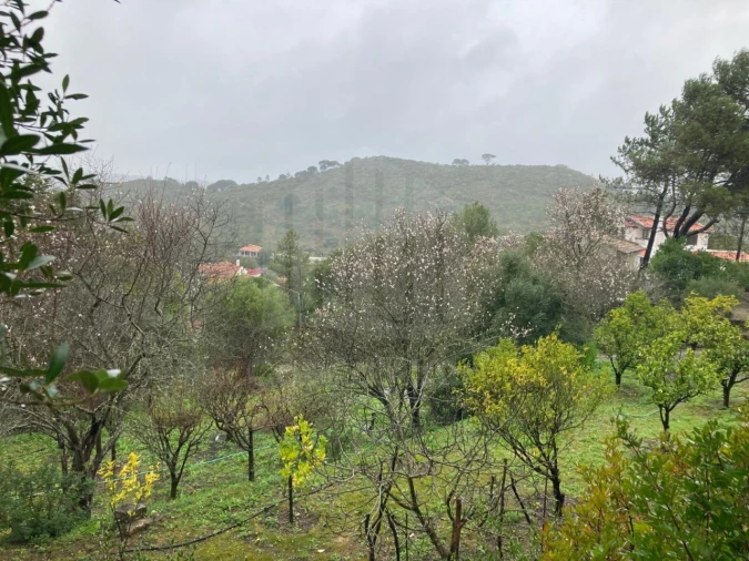 Moradia T2 para Venda em União das Freguesias de Setúbal Foto 35