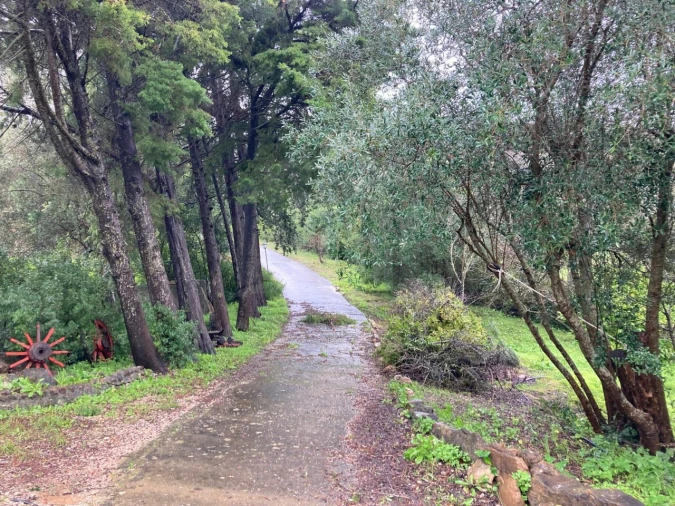 Moradia T2 para Venda em União das Freguesias de Setúbal Foto 42