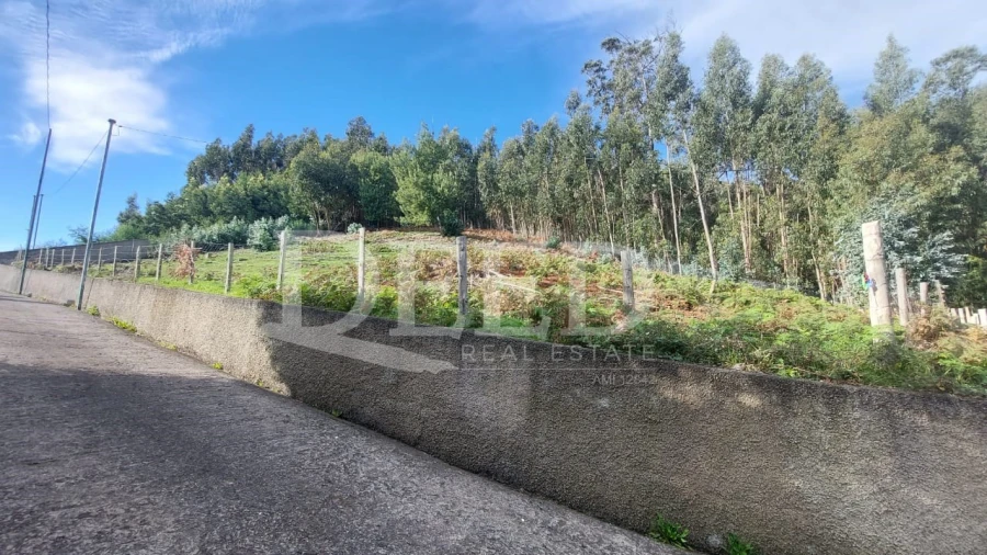 Terreno para Venda em Camacha