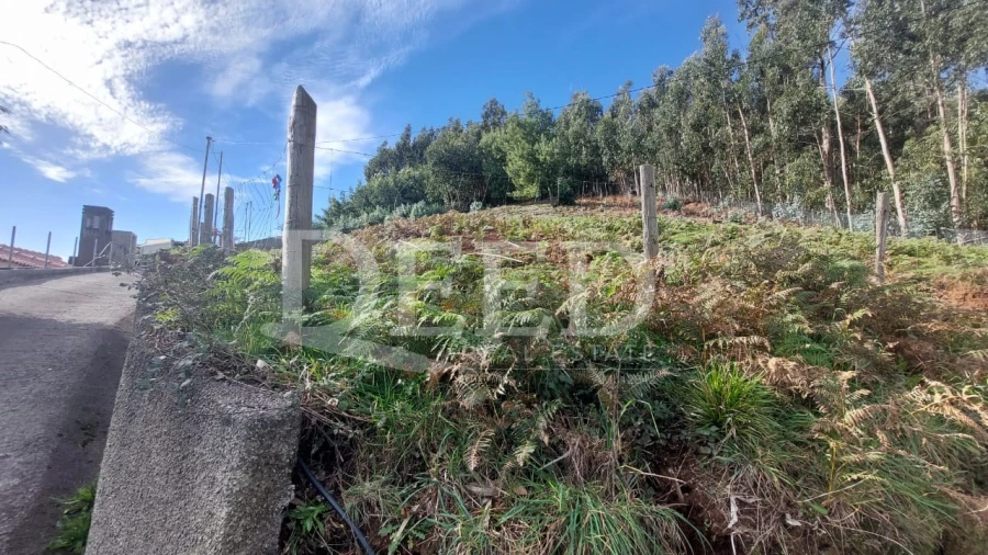 Terreno para Venda em Camacha Foto 2