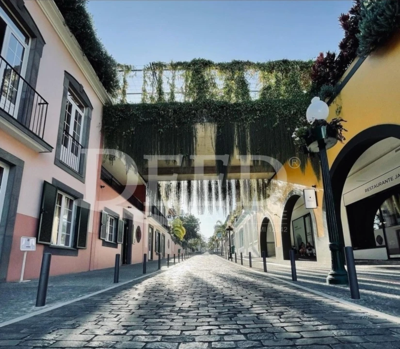 Negócio para Venda em Funchal (Se) Foto 1