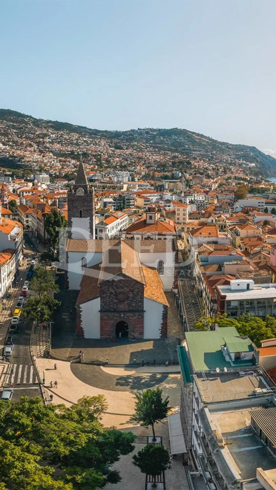 Negócio para Venda em Funchal (Se) Foto 2