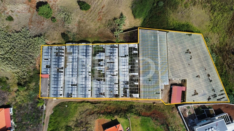 Terreno para Venda em Prazeres Foto 1