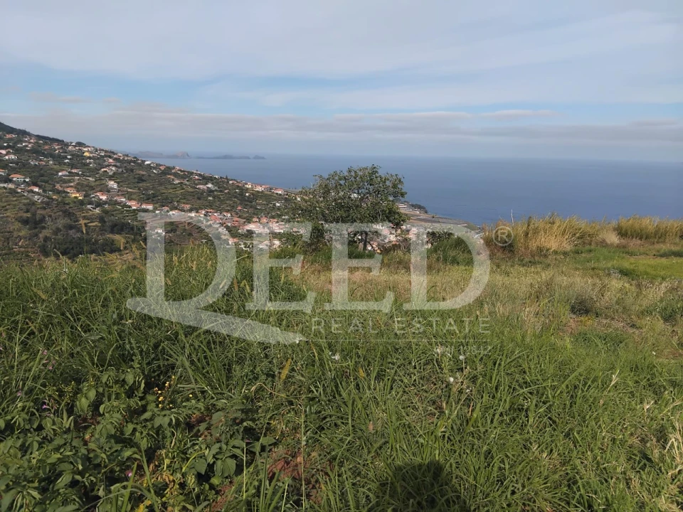 Terreno para Venda em Santa Cruz Foto 10