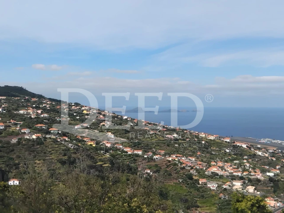 Terreno para Venda em Santa Cruz Foto 11