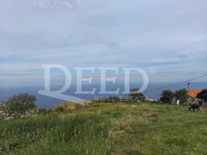 Terreno para Venda em Santa Cruz