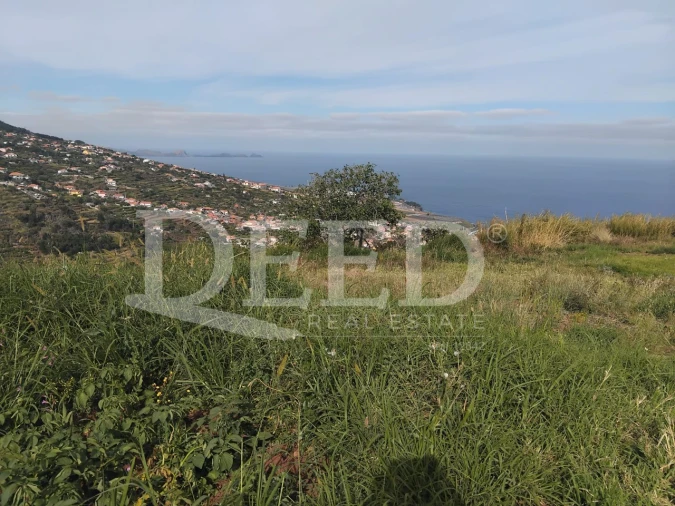 Terreno para Venda em Santa Cruz Foto 10