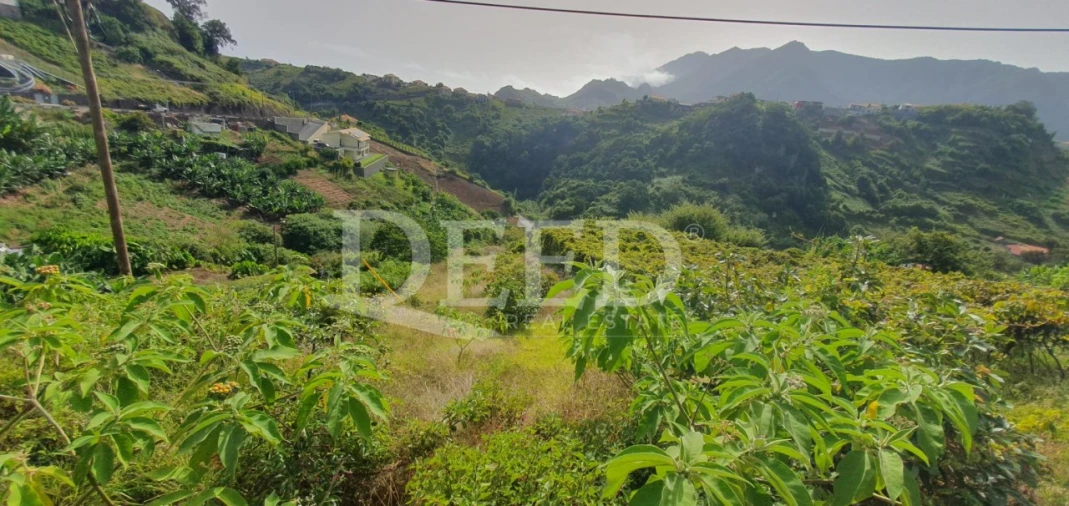 Terreno para Venda em Porto da Cruz Foto 3