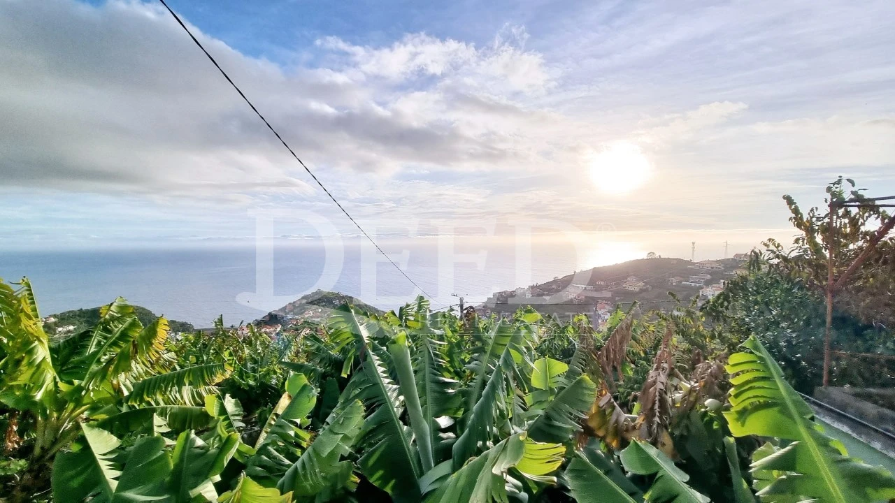 Moradia T2 para Venda em Ribeira Brava Foto 1