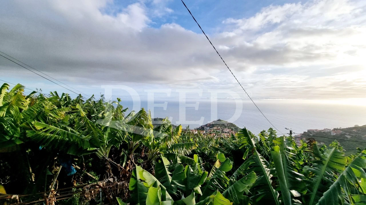 Moradia T2 para Venda em Ribeira Brava Foto 14