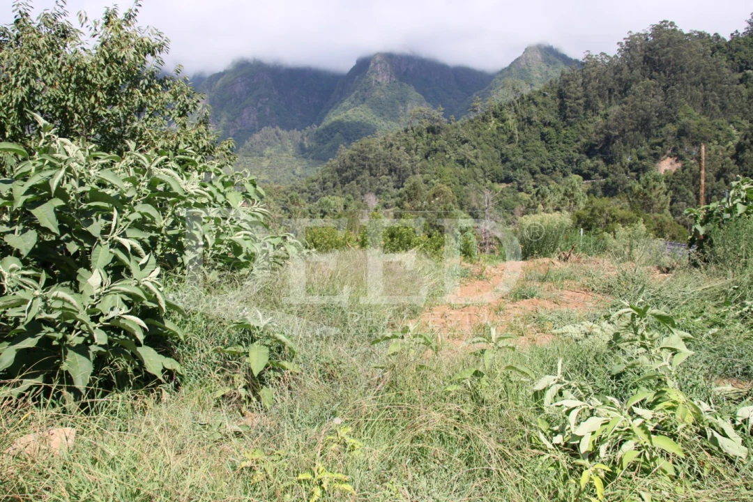 Terreno para Venda em São Vicente Foto 3