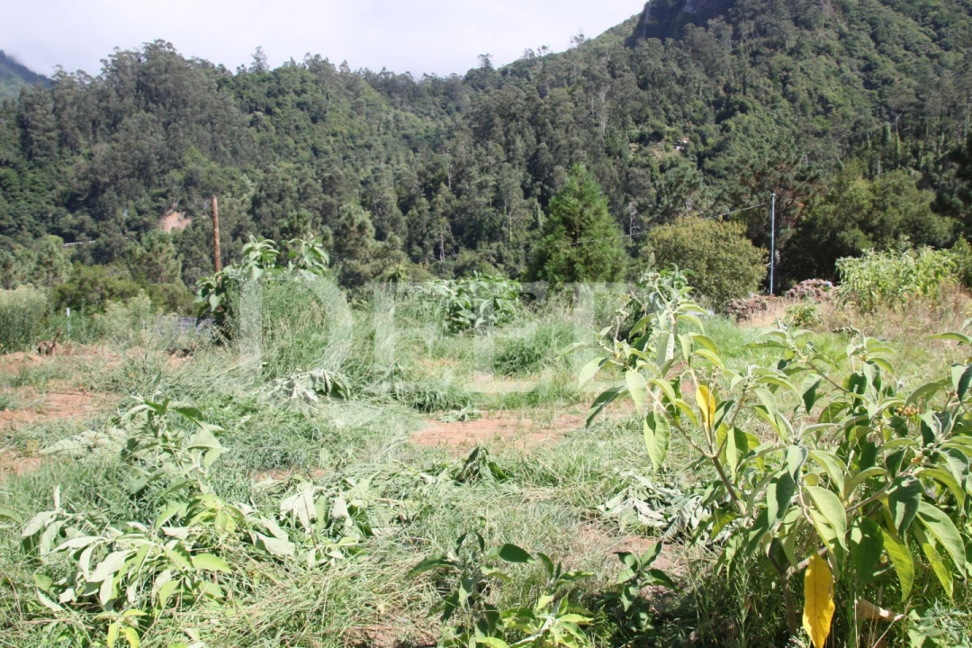 Terreno para Venda em São Vicente Foto 13