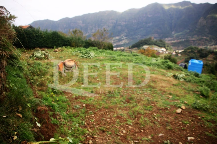 Terreno para Venda em São Vicente Foto 11