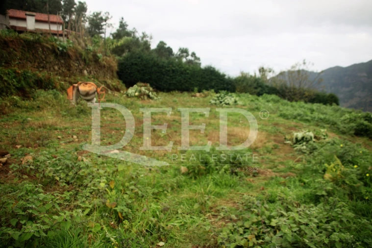 Terreno para Venda em São Vicente Foto 2