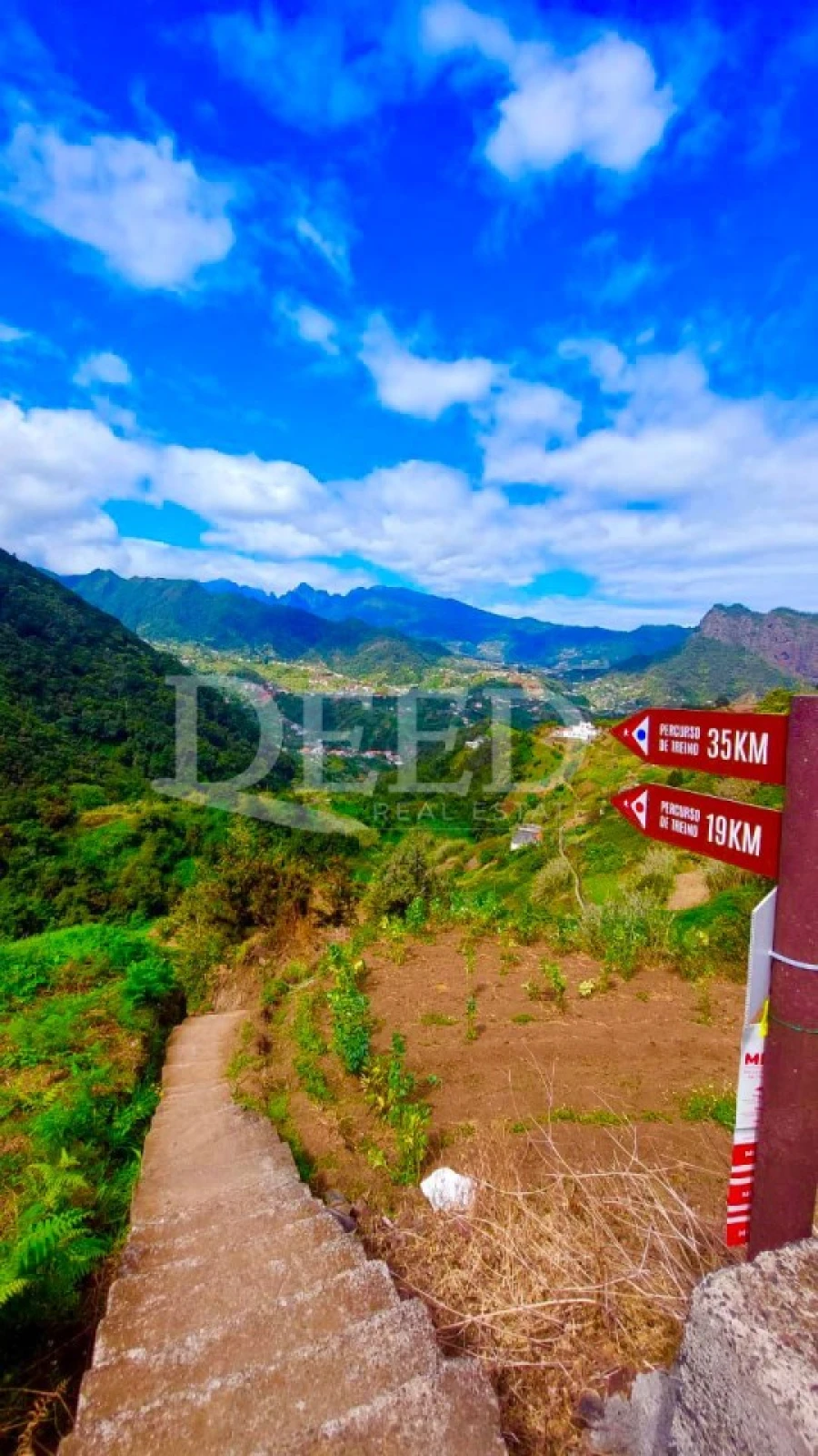 Terreno para Venda em Porto da Cruz Foto 5