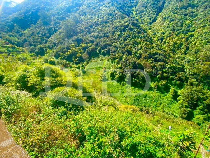 Terreno para Venda em Porto da Cruz Foto 1