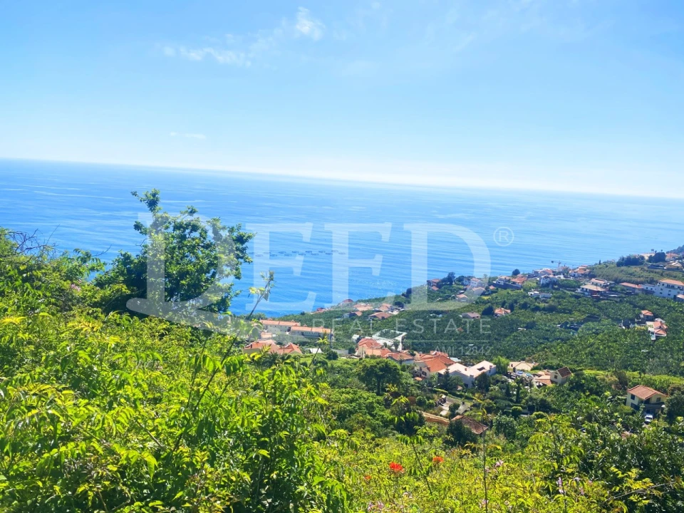 Moradia T4 para Venda em Arco da Calheta Foto 4