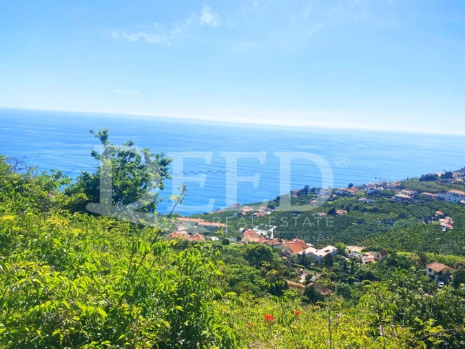 Moradia T4 para Venda em Arco da Calheta Foto 4