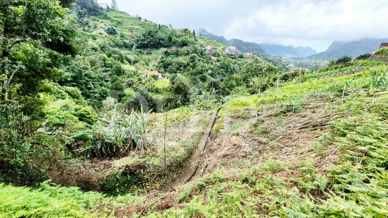 Terreno para Venda em Porto da Cruz Foto 1
