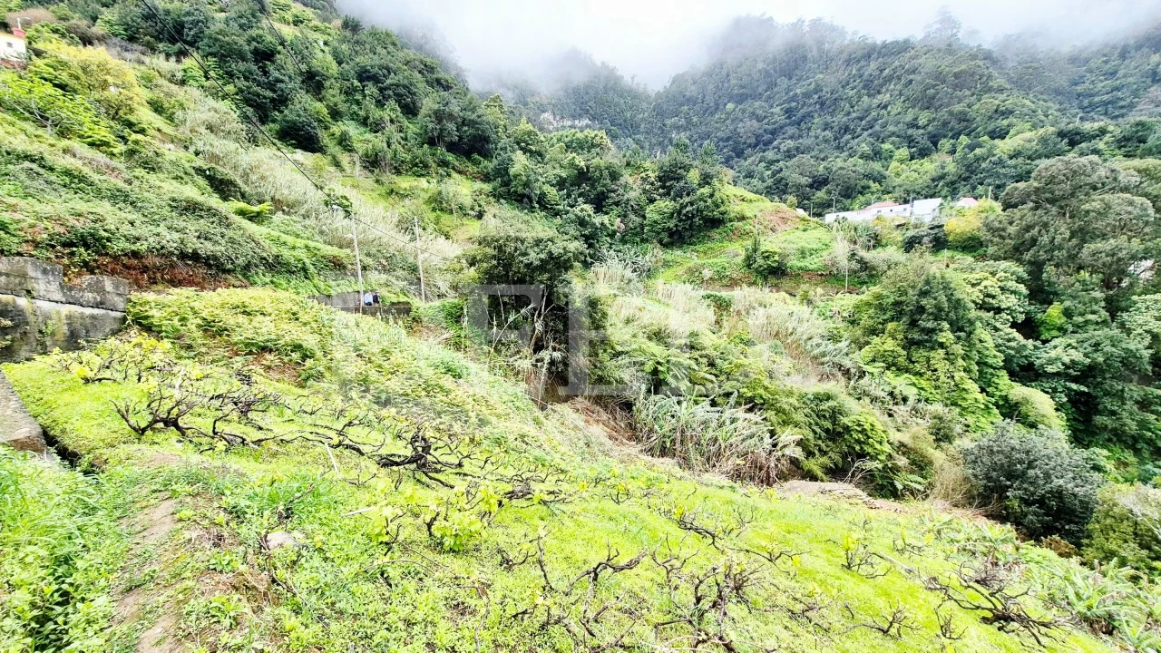 Terreno para Venda em Porto da Cruz Foto 9