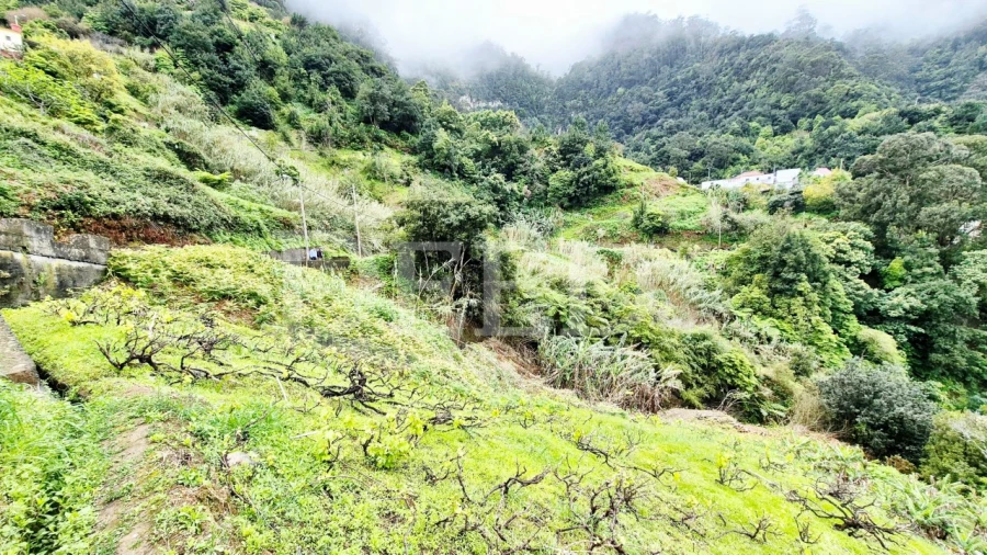 Terreno para Venda em Porto da Cruz Foto 9