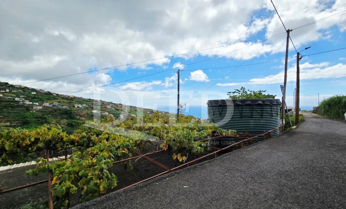 Moradia T2 para Venda em Ponta do Sol Foto 15