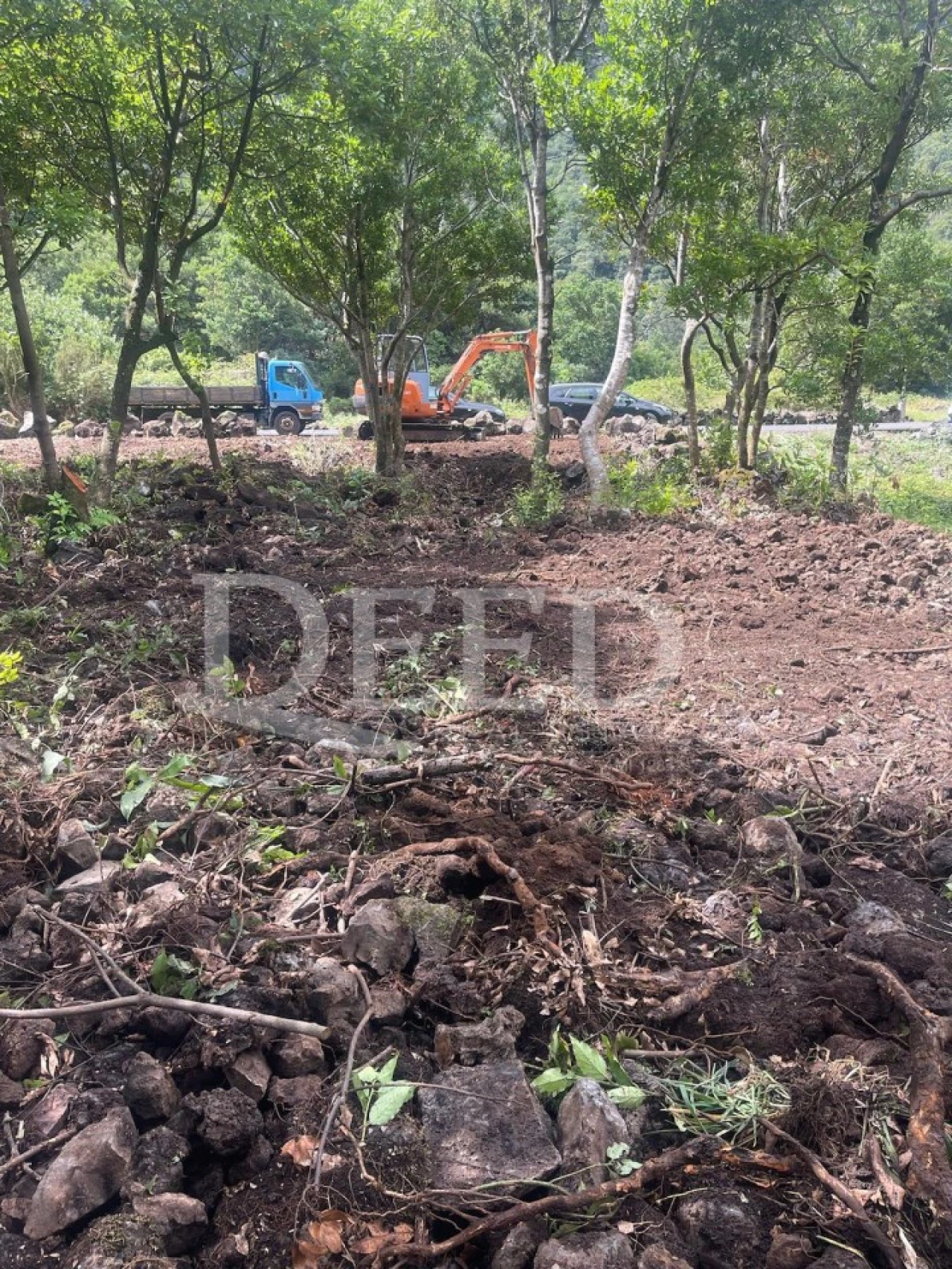 Terreno Agricola ou Rústico para Venda em Seixal Foto 2
