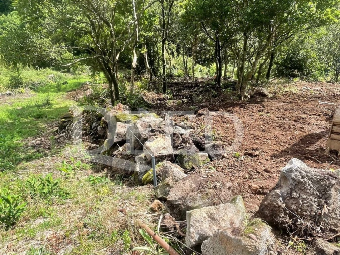 Terreno Agricola ou Rústico para Venda em Seixal Foto 1