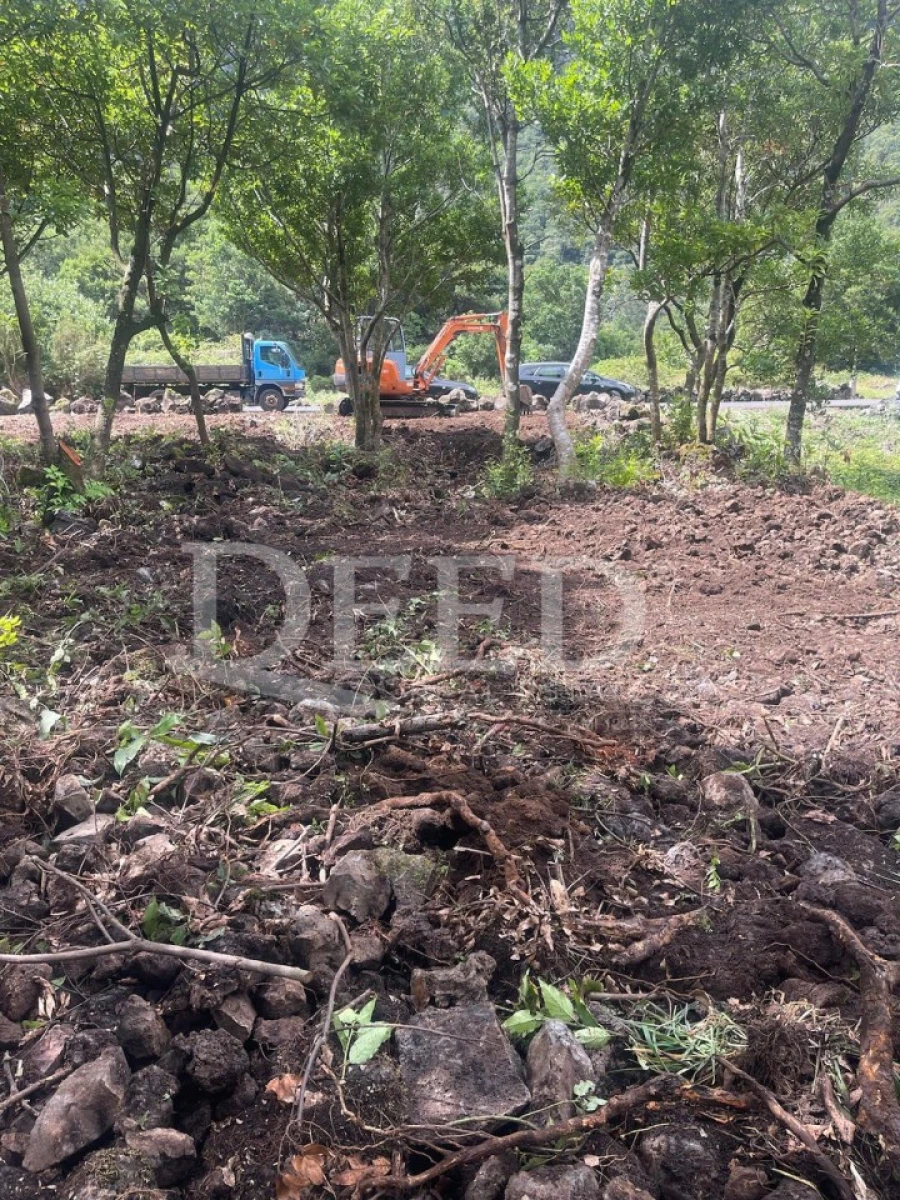 Terreno Agricola ou Rústico para Venda em Seixal Foto 2