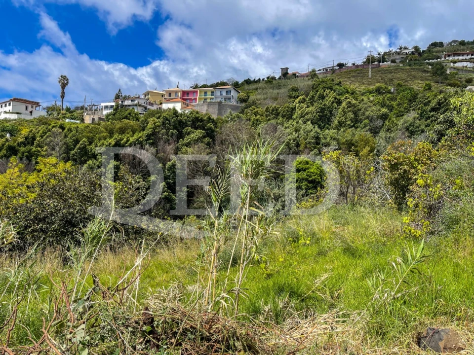 Terreno para Venda em Gaula Foto 3