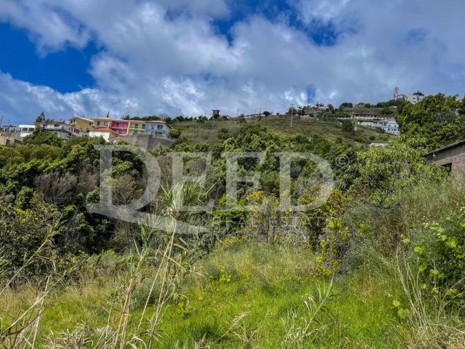Terreno para Venda em Gaula Foto 2