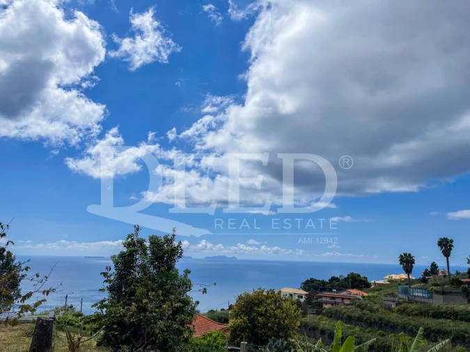 Terreno para Venda em Gaula Foto 4