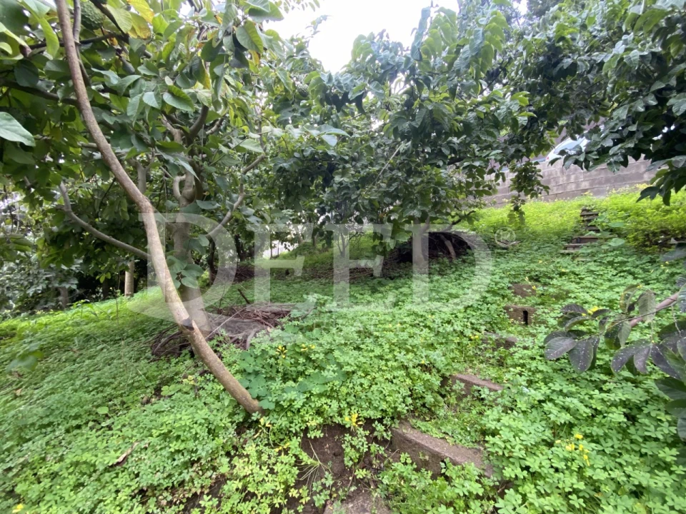 Terreno Agricola ou Rústico para Venda em Santo Antonio Foto 4