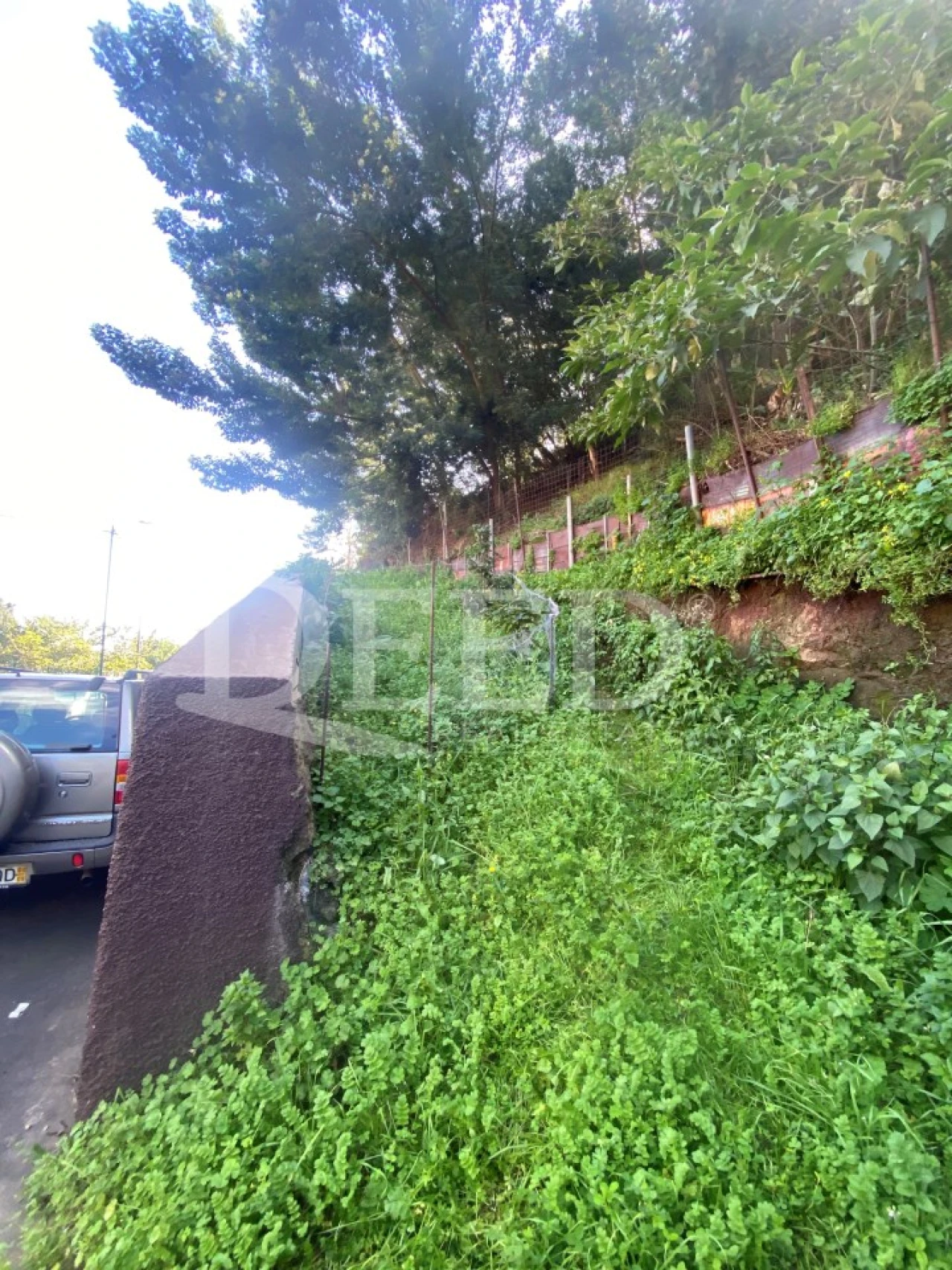 Terreno Agricola ou Rústico para Venda em Santo Antonio Foto 9