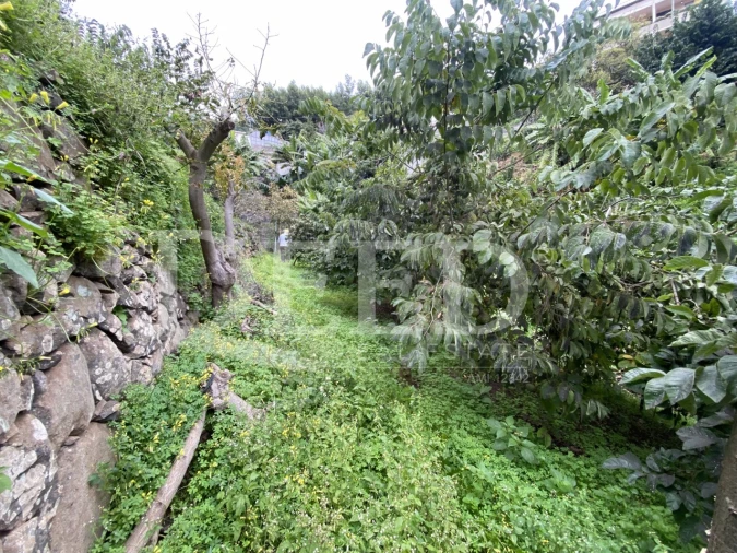 Terreno Agricola ou Rústico para Venda em Santo Antonio Foto 5