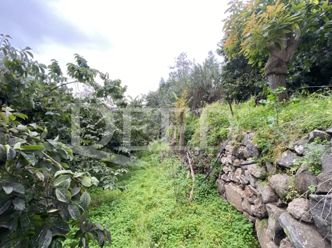 Terreno Agricola ou Rústico para Venda em Santo Antonio Foto 6